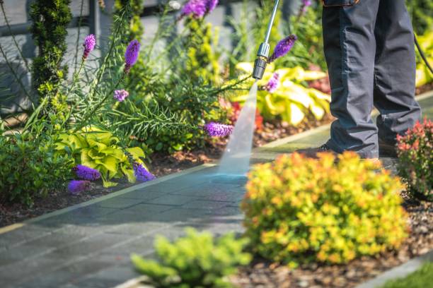 Best Roof Washing  in Schaumburg, IL