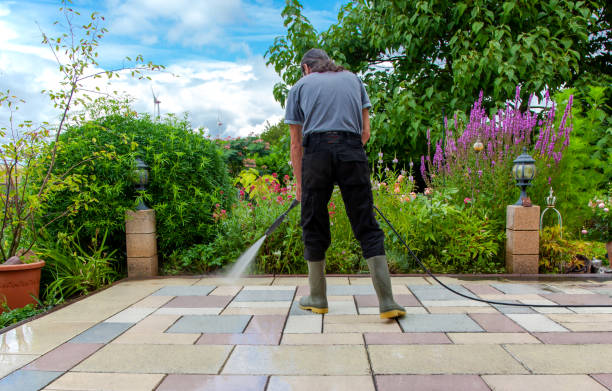 Trusted Schaumburg, IL Pressure Washing Services Experts